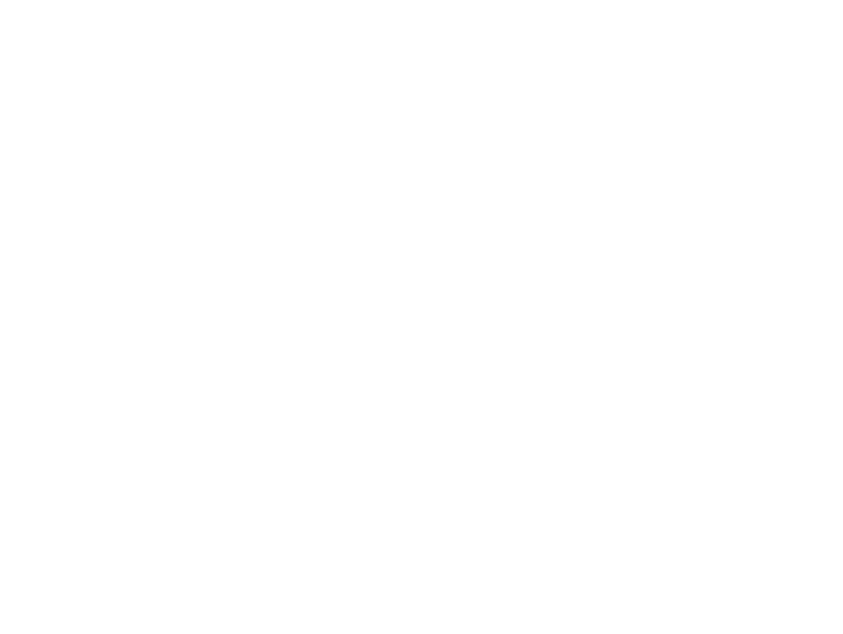 Chair Dinkum